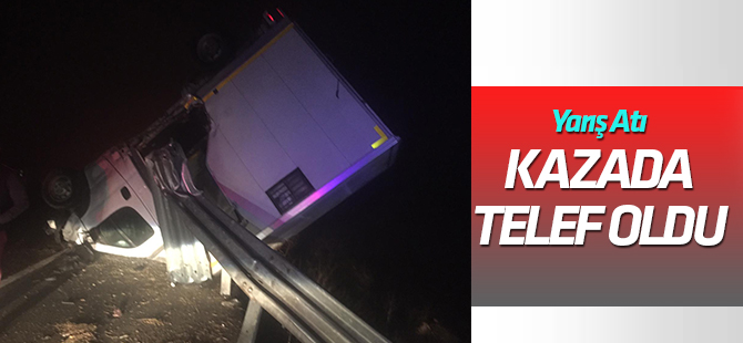 Devrilen kamyonetteki yarış atı telef oldu