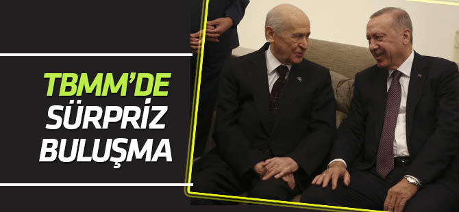 Cumhurbaşkanı Erdoğan MHP Genel Başkanı Devlet Bahçeli ile bir araya geldi