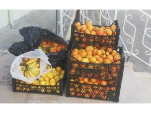 Pazar yerinden çaldığı meyveleri satarken yakalandı