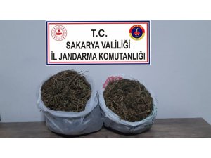 Sakarya’da esrar operasyonu: 1 tutuklama