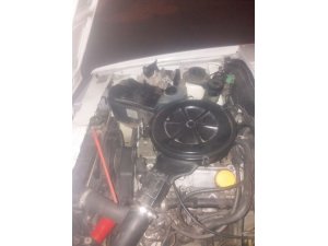 Soğuktan üşüyen yavru kediler aracın motorundan çıktı