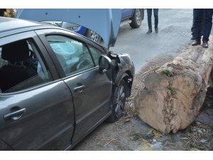 Seyir halindeki otomobile tomruk yuvarlandı