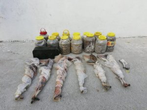 Bitlis’te silah ve mühimmat ele geçirildi