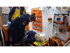 Huzurevinden kaçmak için balkondan atlayan yaşlı kadın tellere saplandı