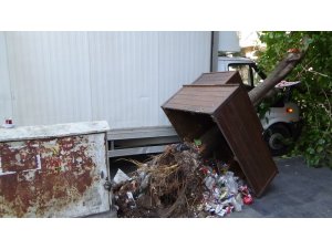 Çarptığı ağaç, aracının üzerine devrildi