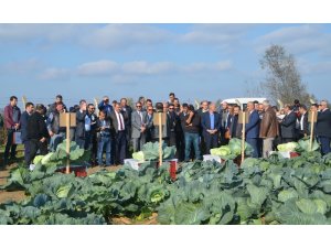 Tarla gününde ‘yerli ve milli lahana’ çeşitleri tanıtıldı