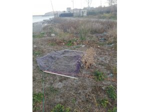 Zonguldak'ta saka kuşlarını yakalayan avcılara 3 bin 300 lira ceza