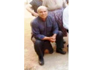 Ağaçtan düşen şahıs hayatını kaybetti