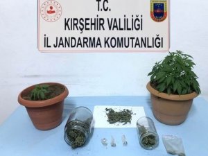 Jandarma Mucur ilçesinde kubar esrar ele geçirdi