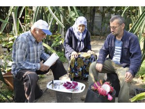 Bahçede kilosu, tezgahta tanesi 30 lira