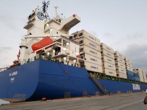 Mersin narenciyesi Samsun’dan taşınacak
