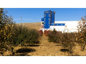 Çorum’da biyokütle enerji santrali ile meyve bahçesi yan yana