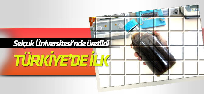 Mikrobiyal peynir mayasıyla ekonomiye katkı sağlayacak