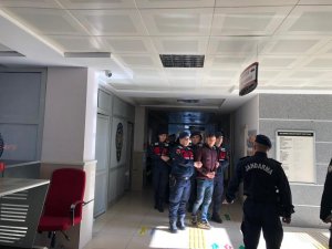 240 koyunu çalan 2 kişi yakalandı