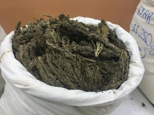 Engel samanların arasına zulalanan 129 kilo esrarı buldu