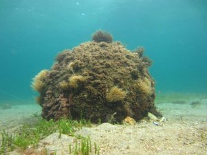 1. Dünya Savaşı’ndan kalma mühimmat imha edildi