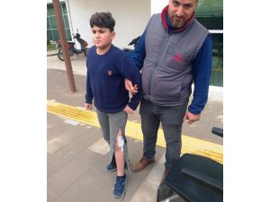 Sokak köpeğinin ısırdığı çocuk hastanelik oldu