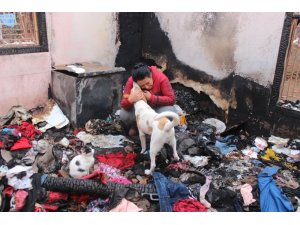 Evleri yanınca 15 kedi ve 2 köpeğiyle evsiz kaldı