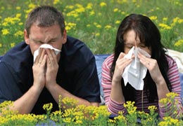 Alerji ilaçlarının satışı arttı