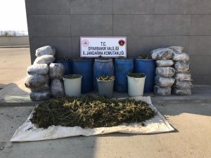 Kıran-5 Operasyonu’nda terörün finans kaynağına büyük darbe