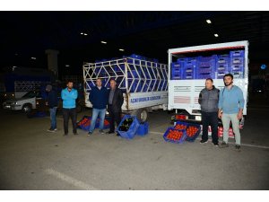 Kumluca halinde hareketlilik başladı