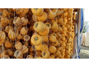 Kilosu 30 lira olan hurma kurusu, ilçenin halkının geçim kaynağı oldu