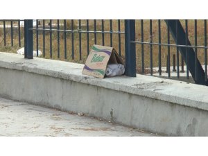 Üniversite kampüsünde şüpheli paket paniği