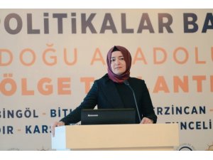 AK Parti Genel Başkan Yardımcısı Kaya Van’da