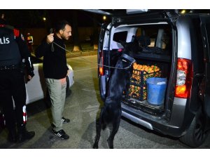 Adana’da 2 bin 647 polisle uygulama