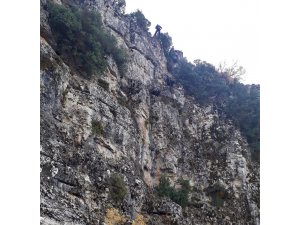 Burdur'da kayalıklarda mahsur kalan keçiler kurtarıldı