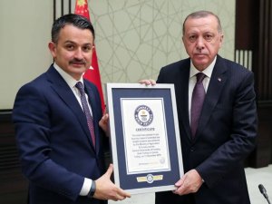 "En fazla fidan dikme rekoru" belgesi Cumhurbaşkanı Erdoğan'a takdim edildi