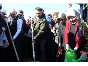 Bakan Pakdemirli ve Binali Yıldırım 850 bin fidanın dikildiği törende buluştu