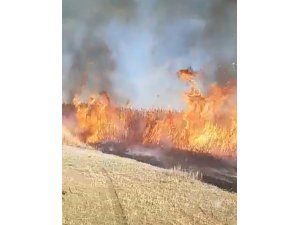 Muradiye’de sazlık yangını