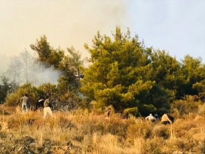 Hatay’da orman yangını