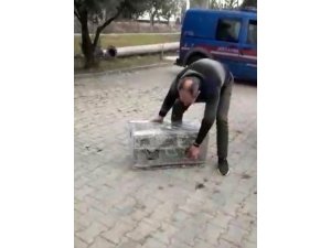 Su deposunda 37 saka kuşu ele geçirildi