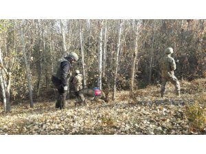 Araziye gizlenen toz esrarı narkotik köpekleri buldu