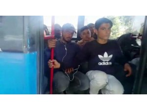 Balık istifi yolcu taşımak için koltukları söküp tabure koymuşlar