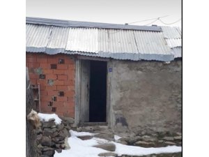 Yaylaya giden vatandaşlar şok yaşadı