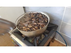 Ruhsatsız midye imalathanesi kapatıldı