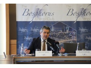 ’’Türkiye, doğalgaz konusunda tüm eleştirilere rağmen çok doğru bir strateji izlemiştir’’