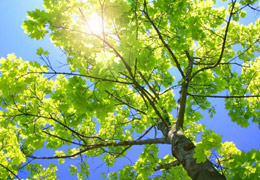 Deri kanseri riskine dikkat!