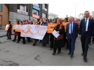 Kadına Yönelik Şiddete Karşı Uluslararası Mücadele ve Dayanışma Günü