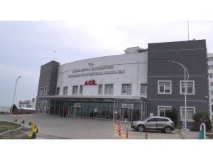 Sivrisinek ısırığı ölümüne neden oldu