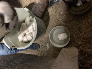 Kıran-6 Operasyonu’nda 2 ton patlayıcı ele geçirildi