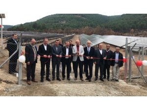 Bu ilçe elektriğini güneş panellerinden karşılıyor