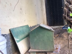 Ataşehir’de lüks sitede kedi evi tartışması
