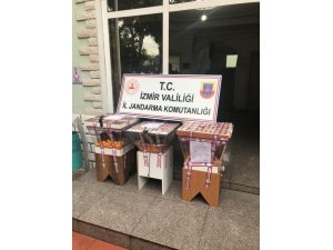 Jandarma 99 kişiyi kumar oynarken suçüstü yakaladı