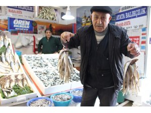 Mezgit fiyatı rekora koşuyor