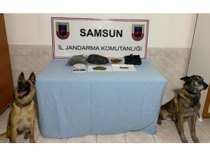 Bafra ve Alaçam’da uyuşturucu operasyonu: 1 gözaltı