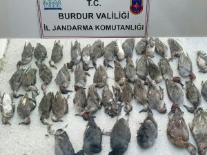 Ördek avcısına 18 bin 996 lira ceza
